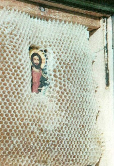 Kliknutím pro větší obrázek